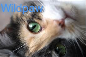 Images