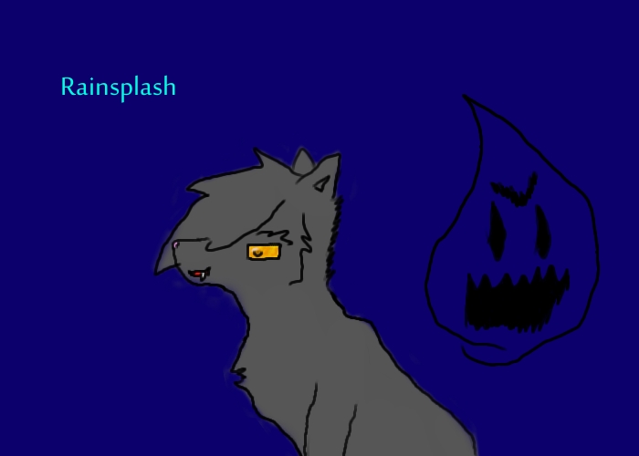 Rainsplash