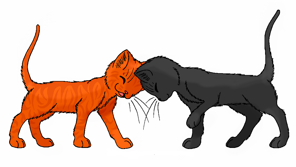 Firestar x CinderpeltLasting Long Love. Warriors Fanfiction And