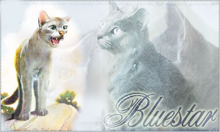 Bluestar