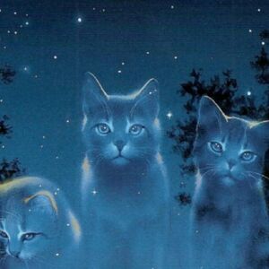 Create A New Warrior Oc Warrior Cats Wiki Fandom