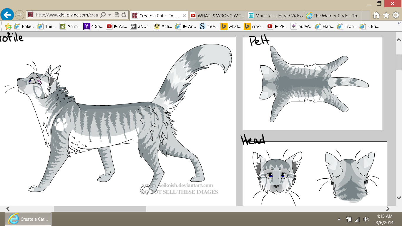 Warrior Cat Names For Grey And White Cats BEST GAMES WALKTHROUGH