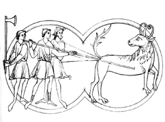Bonnacon-1-