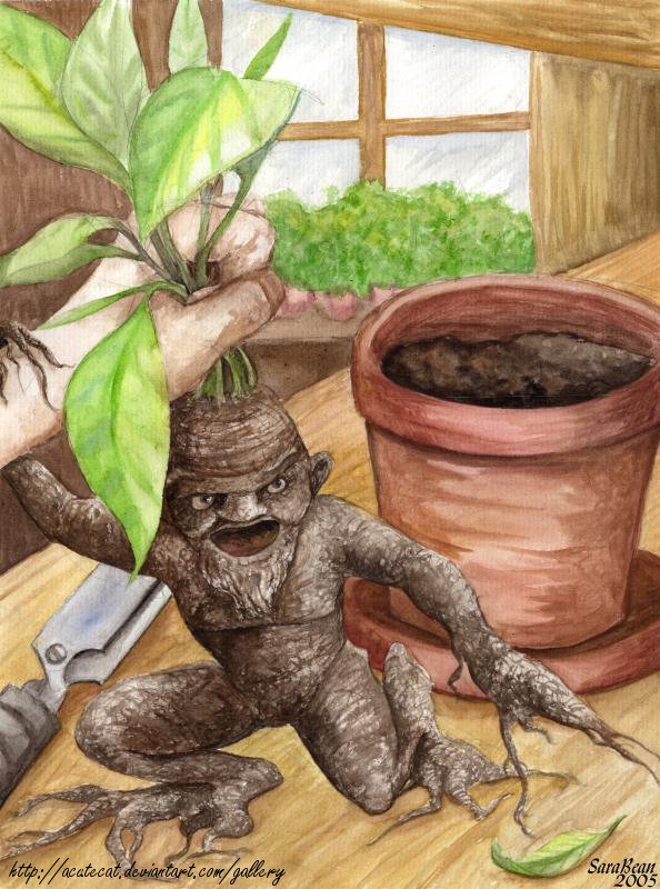 Mandrake | Warriors Of Myth Wiki | FANDOM powered by Wikia