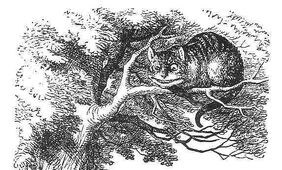 Cheshire cat-1-