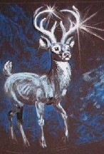 Deer-image-1
