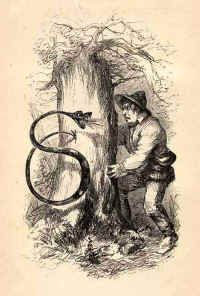 Jaculus-or-hoop-snake