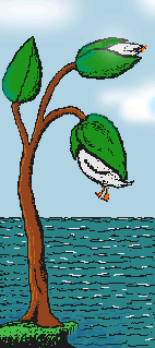 Goosetree-1-
