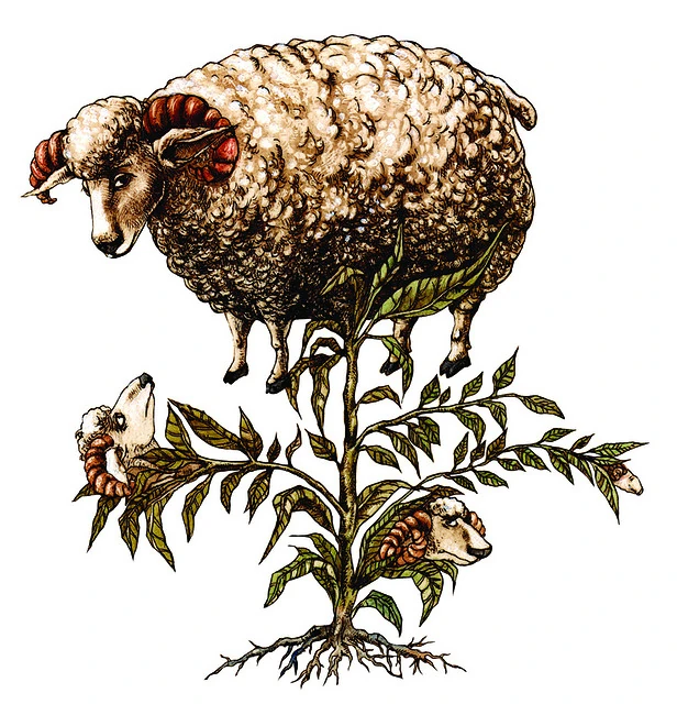 Vegetable Lamb Warriors Of Myth Wiki FANDOM powered by Wikia