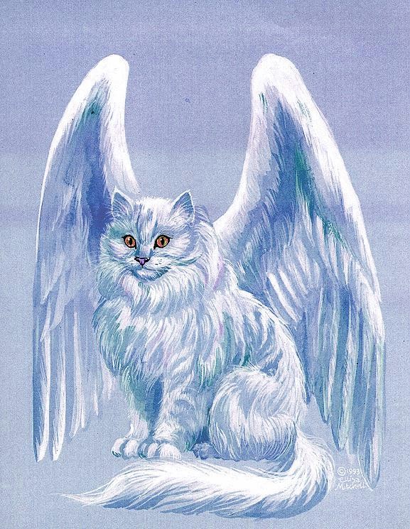 Image - Winged cat, blue.jpg | Warriors Of Myth Wiki | FANDOM powered