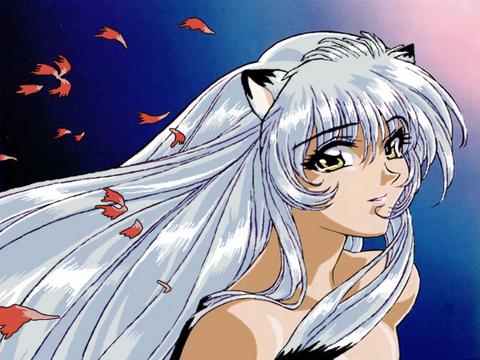 Black Cat Freefall Black Cat Freefall