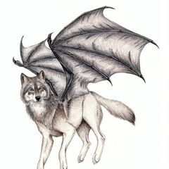 Winged Wolf Gallery | Warriors Of Myth Wiki | FANDOM powered by Wikia