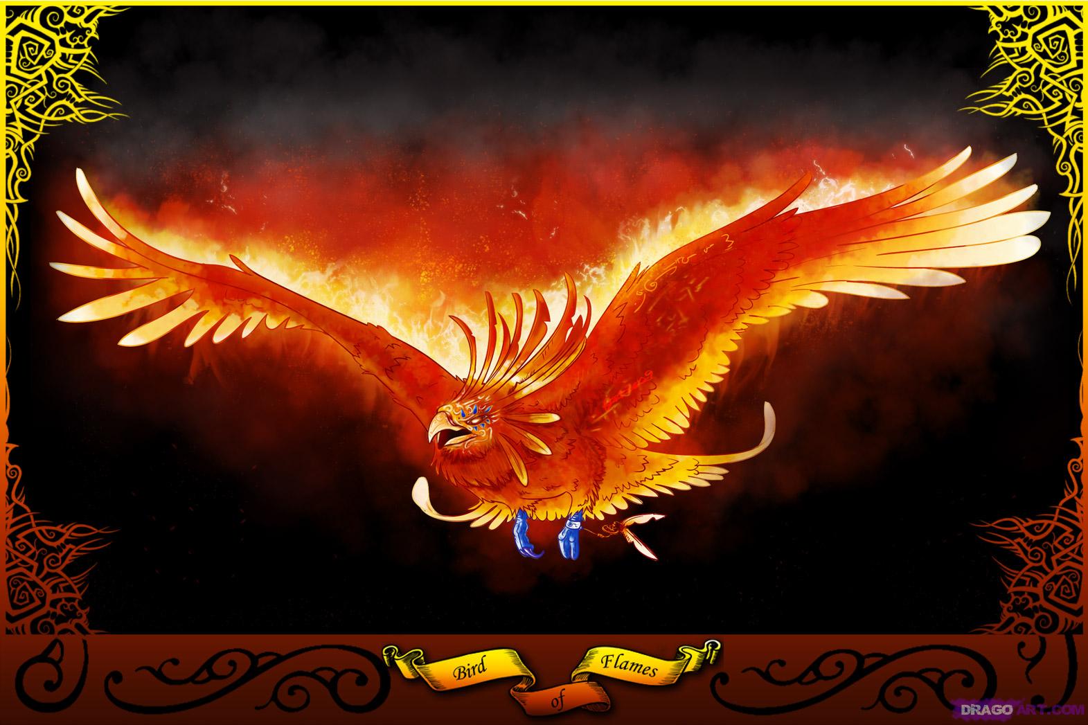 image how to draw a phoenix bird of flames jpg warriors of myth