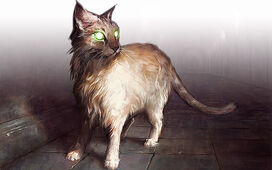 Feature189 cat