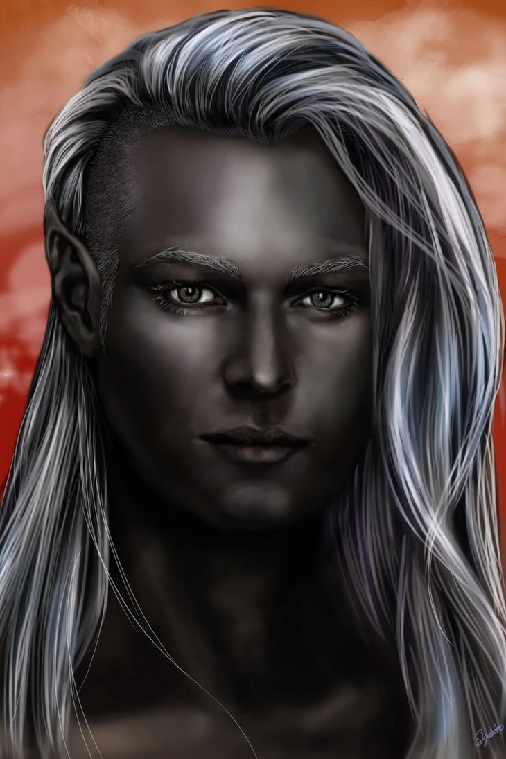 Dark Elf Warriors Of Myth Wiki FANDOM powered by Wikia