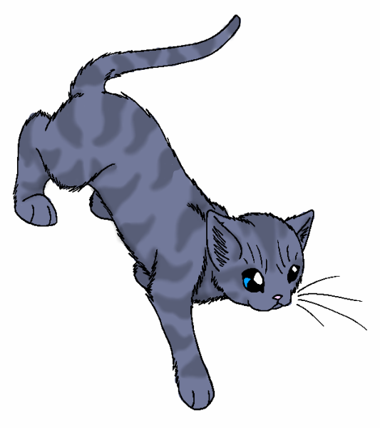 Riverstar Riverstar