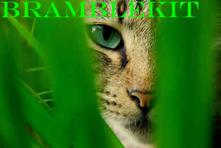 Bramblekit