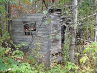 SL Abandoned Shack