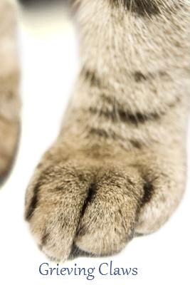 Gclaws