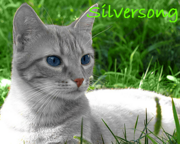 Silversong Image
