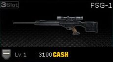 Weapon PSG-1