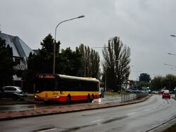 DSC00959
