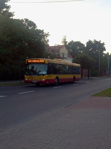 Plik:198.jpg