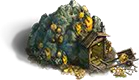 Gold Mine
