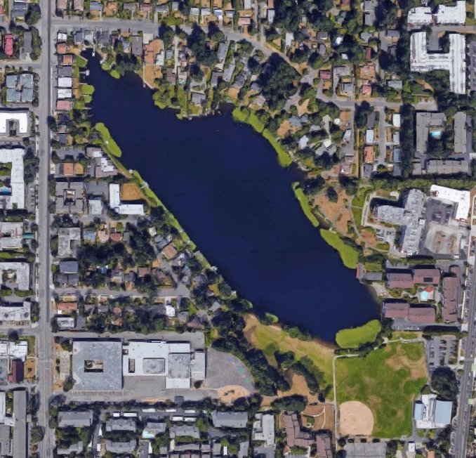 Bitter Lake (King County Lake) Washington State Wiki Fandom