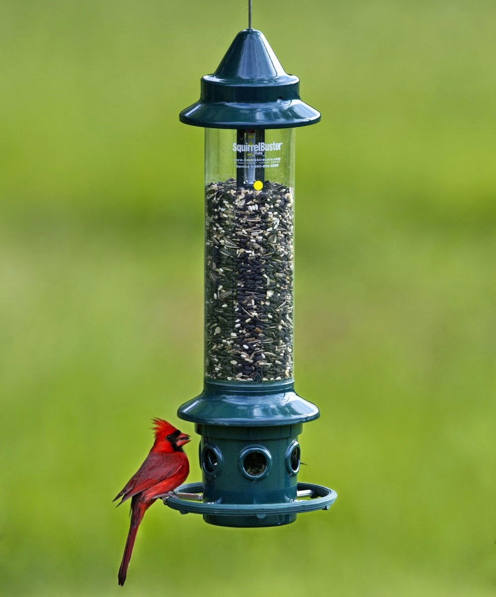Bird Feeders Waste Not Toronto Wiki Fandom