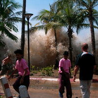 Tsunami Waterwiki Fandom