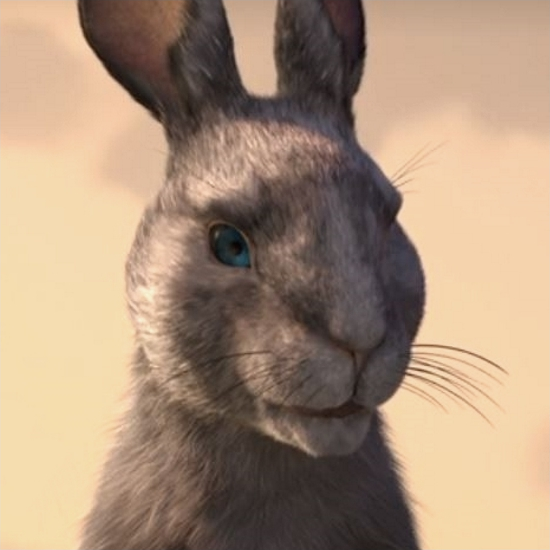 bluebell bunny
