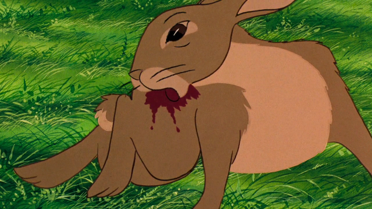 image-vlcsnap-2014-04-28-23h31m35s11-png-watership-down-wiki