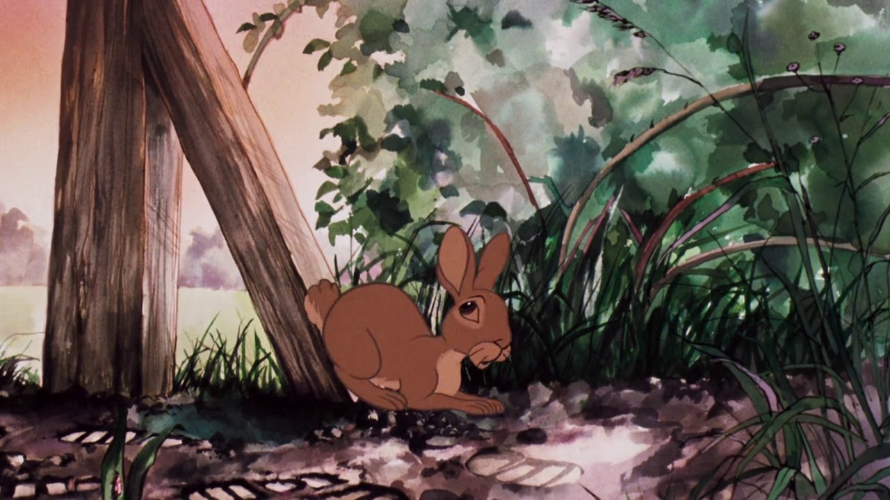 a focus on the character hazel in the story watership down Leadership uncovered richard adams' story watership down tells a tale of the strain of a small warren of rabbits and the transformation of the main character hazel. a focus on the character hazel in the story watership down Leadership uncovered richard adams' story watership down tells a tale of the strain of a small warren of rabbits and the transformation of the main character hazel.