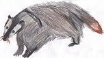 Lindri