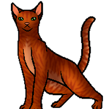 Firestar Warriors Theory Wiki Fandom