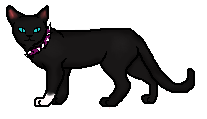 Scourge Rogue