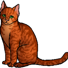 Firestar Warriors Theory Wiki Fandom