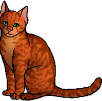 Firestar Warriors Theory Wiki Fandom