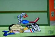Le splat