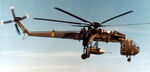 C16