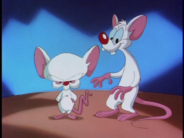 download pinky and the brain star warners download pinky and the brain star warners