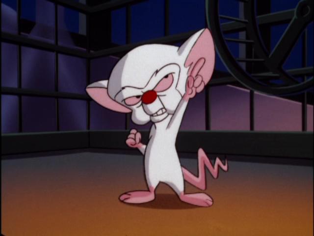 download pinky and the brain and animaniacs