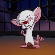 List Of Pinky And The Brain Characters Wb Animated Universe Wiki Fandom
