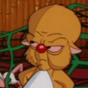 List Of Pinky And The Brain Characters Wb Animated Universe Wiki Fandom