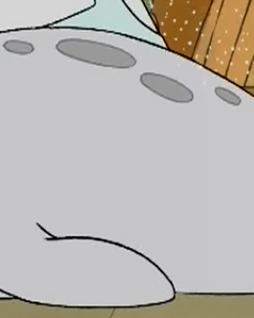 Seal We Bare Bears Wikia Fandom