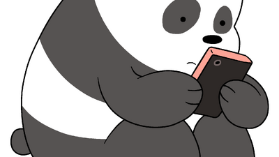 Bears