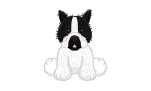 webkinz boston terrier