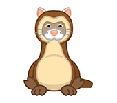 webkinz ferret