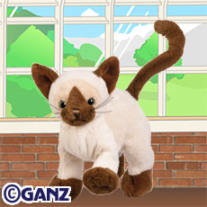 siamese webkinz